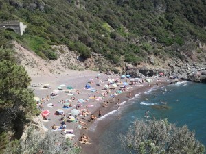 Cala del leone | Pro Loco Livorno