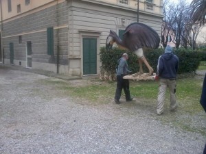 Allestimento mostra