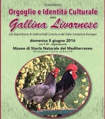 Convegno Orgoglio e Identita’ Culturale della Gallina Livornese